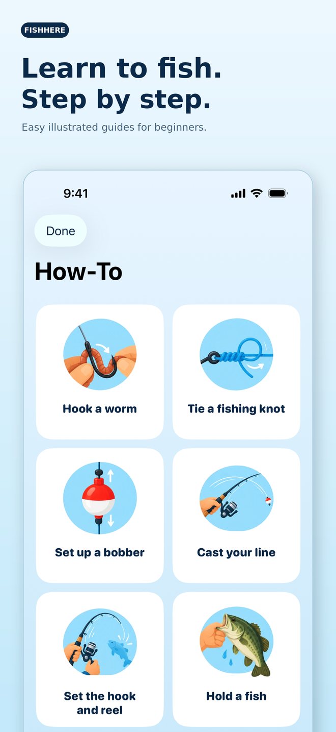 Learn to fish. Step by step.